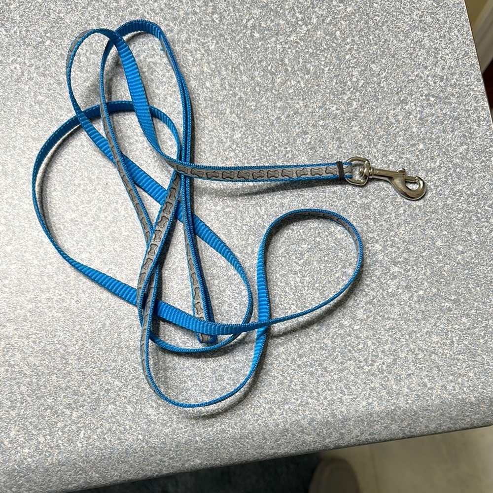 Blue Dog Leash with Metal Clip